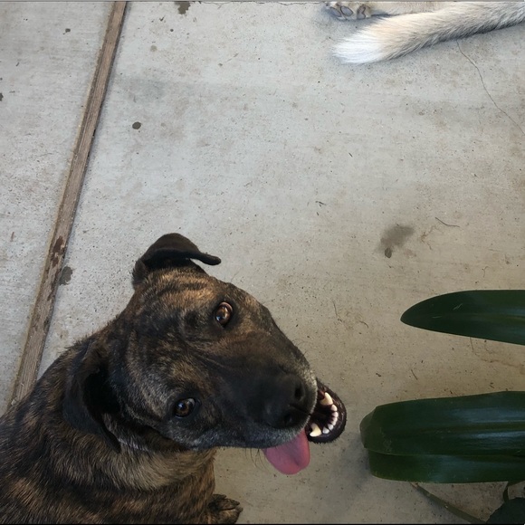 Meet Your Seller! 💀 - Picture 5 of 8